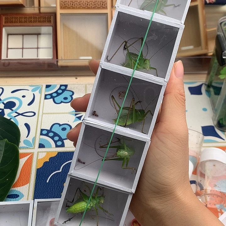 长须扎嘴一只包邮