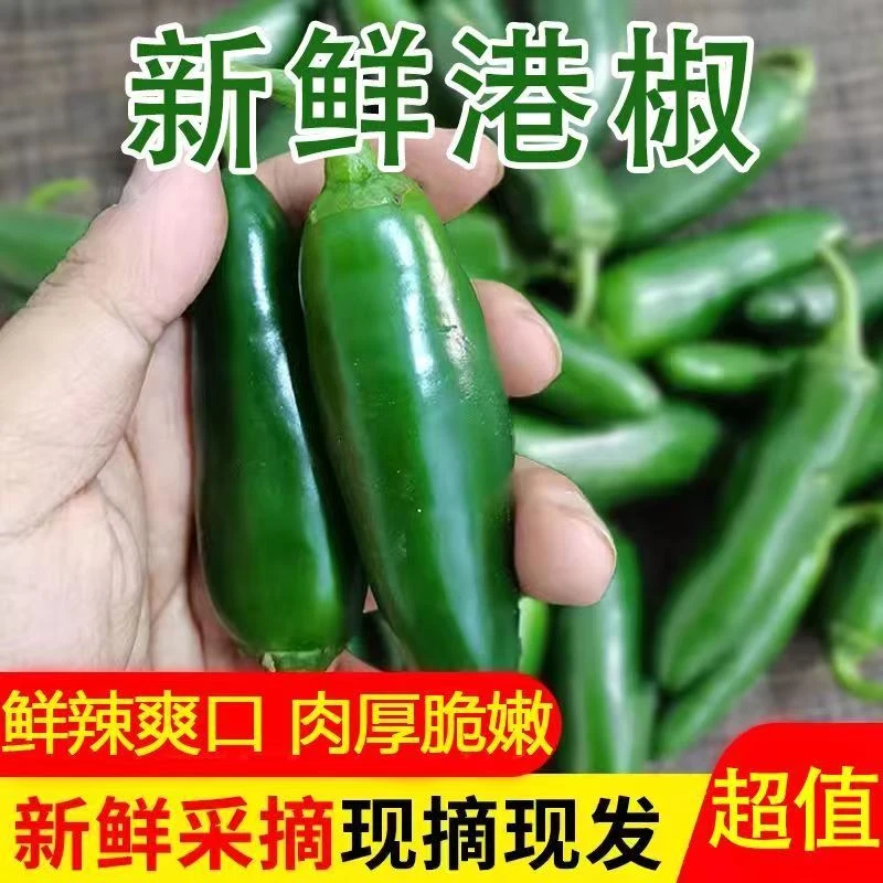 东北新鲜港椒墨西哥辣椒特辣青椒农家新鲜可腌制泡椒现摘发货