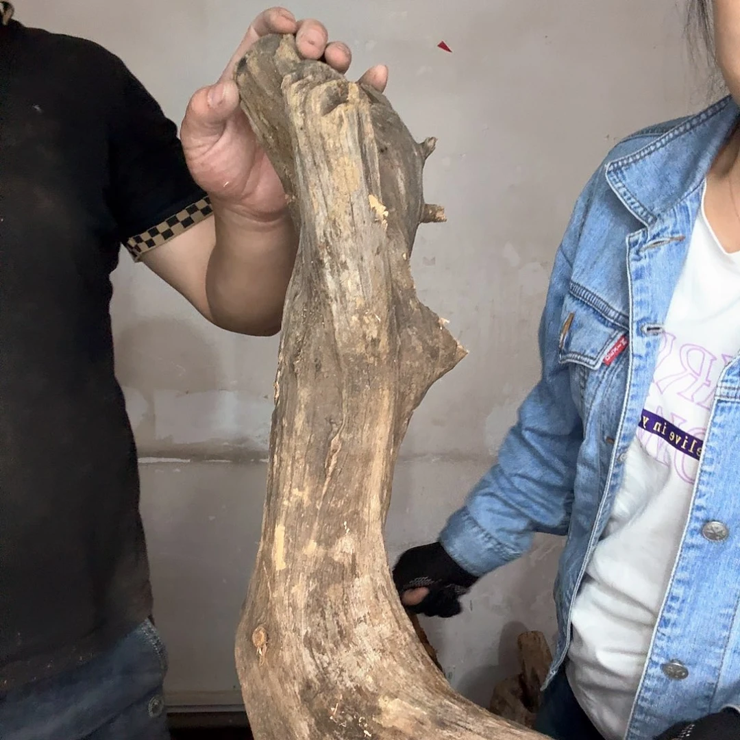 完***界木太行崖柏摆件摆件