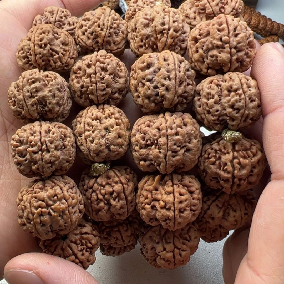 金刚菩提吊坠5瓣24左右粗筋梅花双龙