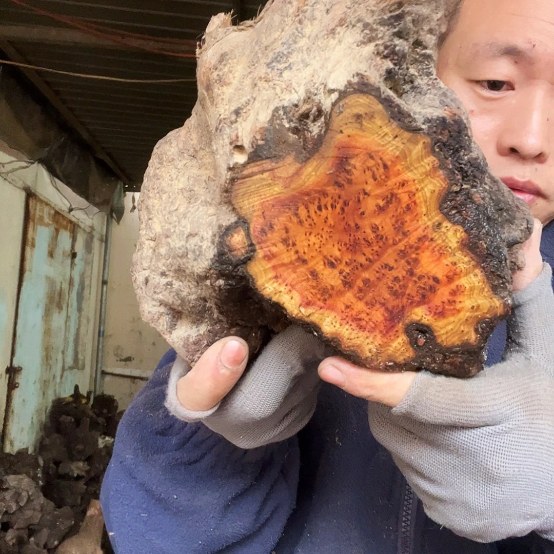 玩***志无花朵000000000000330