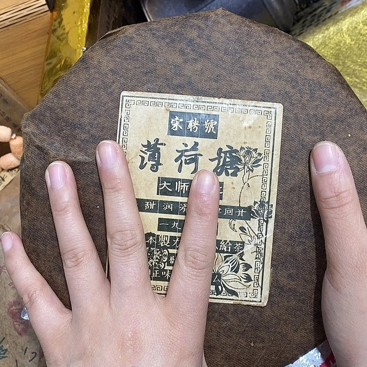 紫砂。。。。。。。。。。。。。。。。