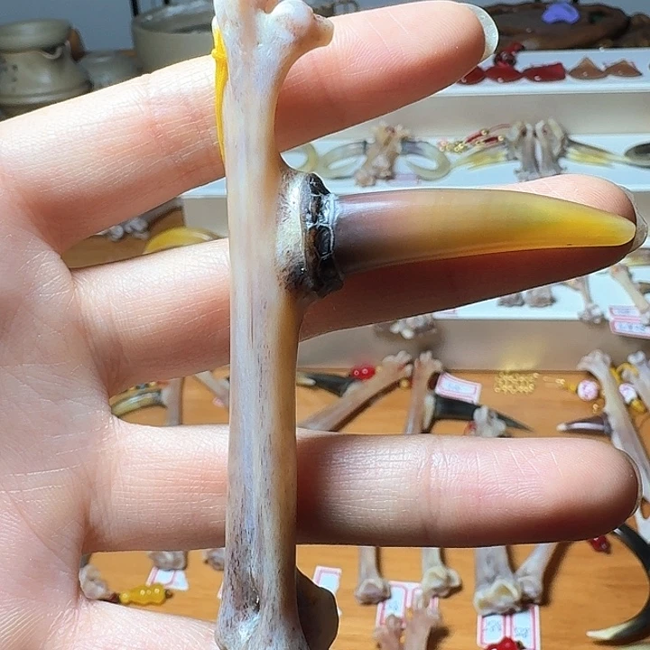 鸡骨（鸡脚）把件唐****队鸡爪骨单只不要膏