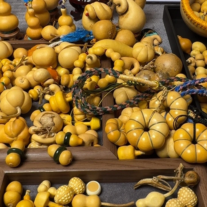 ?***?我的小可爱们都好可爱