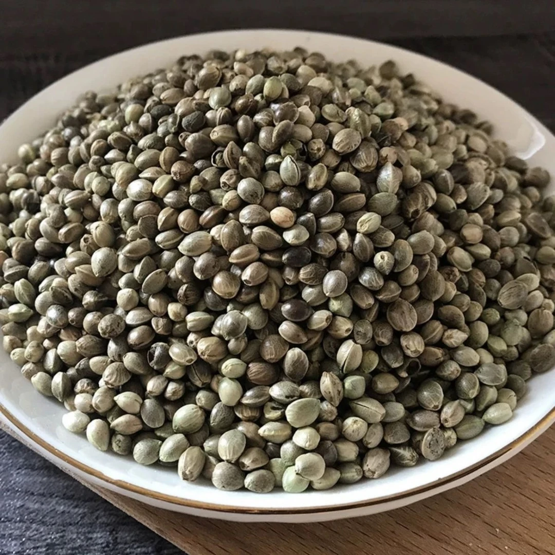 优质中颗粒麻籽火麻籽火麻仁麻子鹦鹉鸟粮饲料仓鼠松鼠粮专用