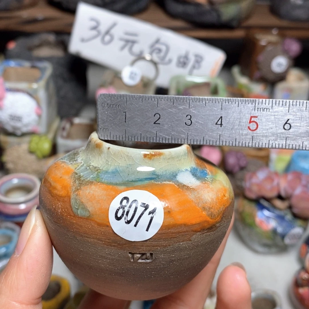 拍5送一个小礼物
