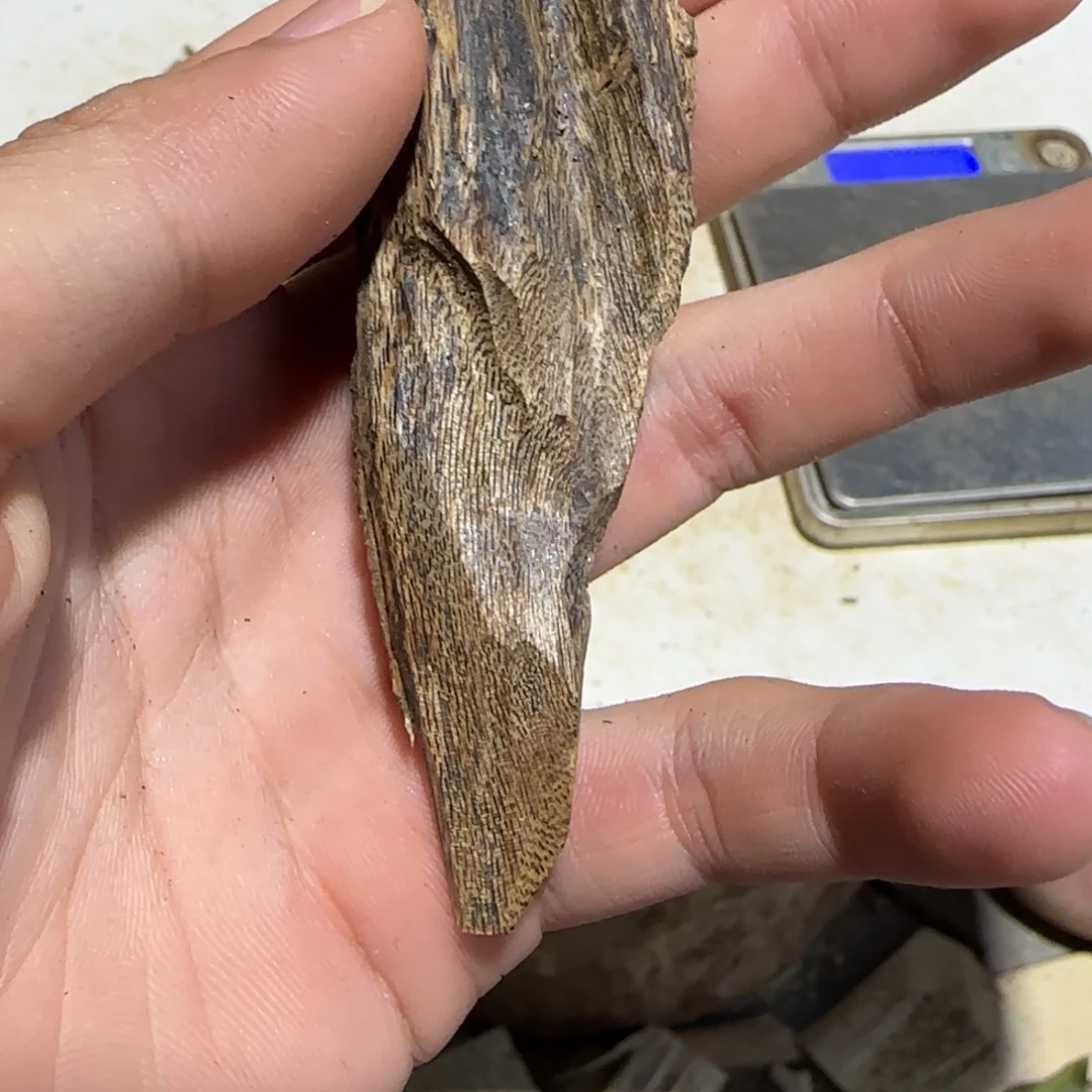 S***梅沉香沉香碎屑沉香原木一个