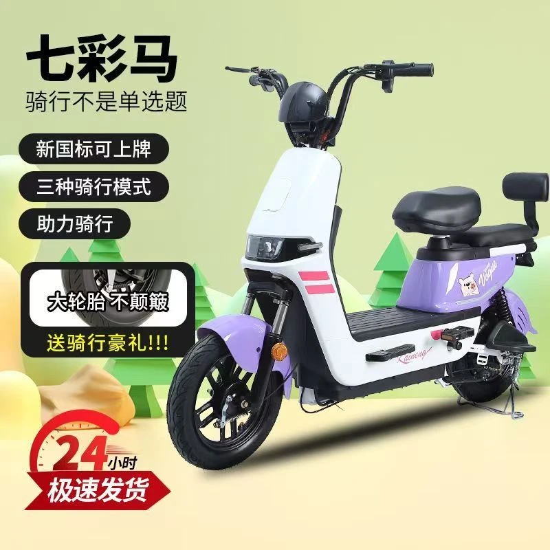 2025女士新款式电动自行车成人小型新国标代步电瓶车新型超长续航
