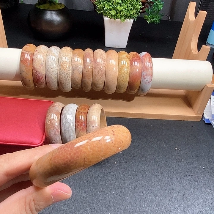 硅化珊瑚（珊瑚玉）未镶嵌颈饰