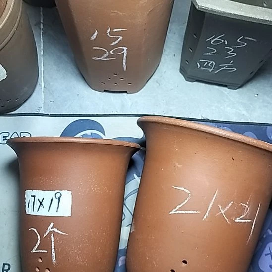 红泥金钟套盆一大一小