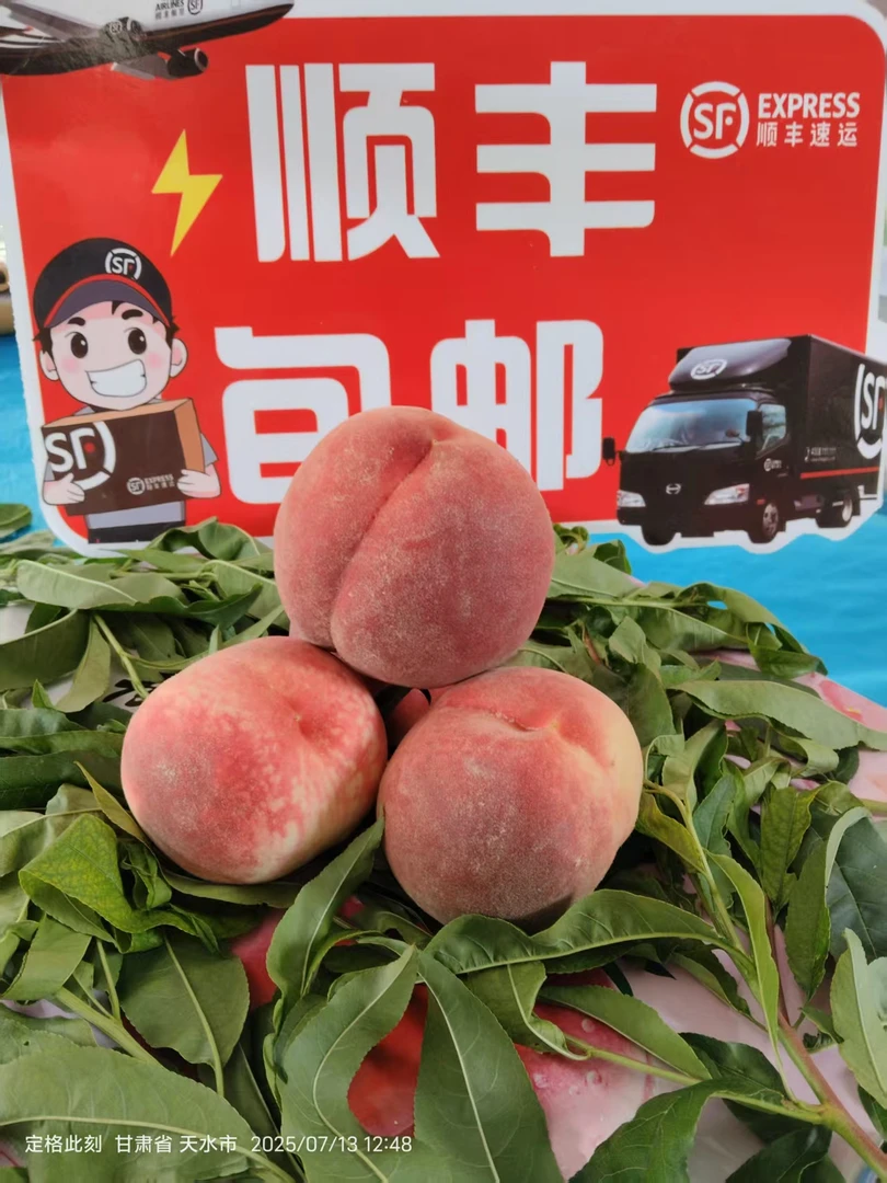 【省内专拍，顺丰包邮】秦安仓方早生水蜜桃现摘现发