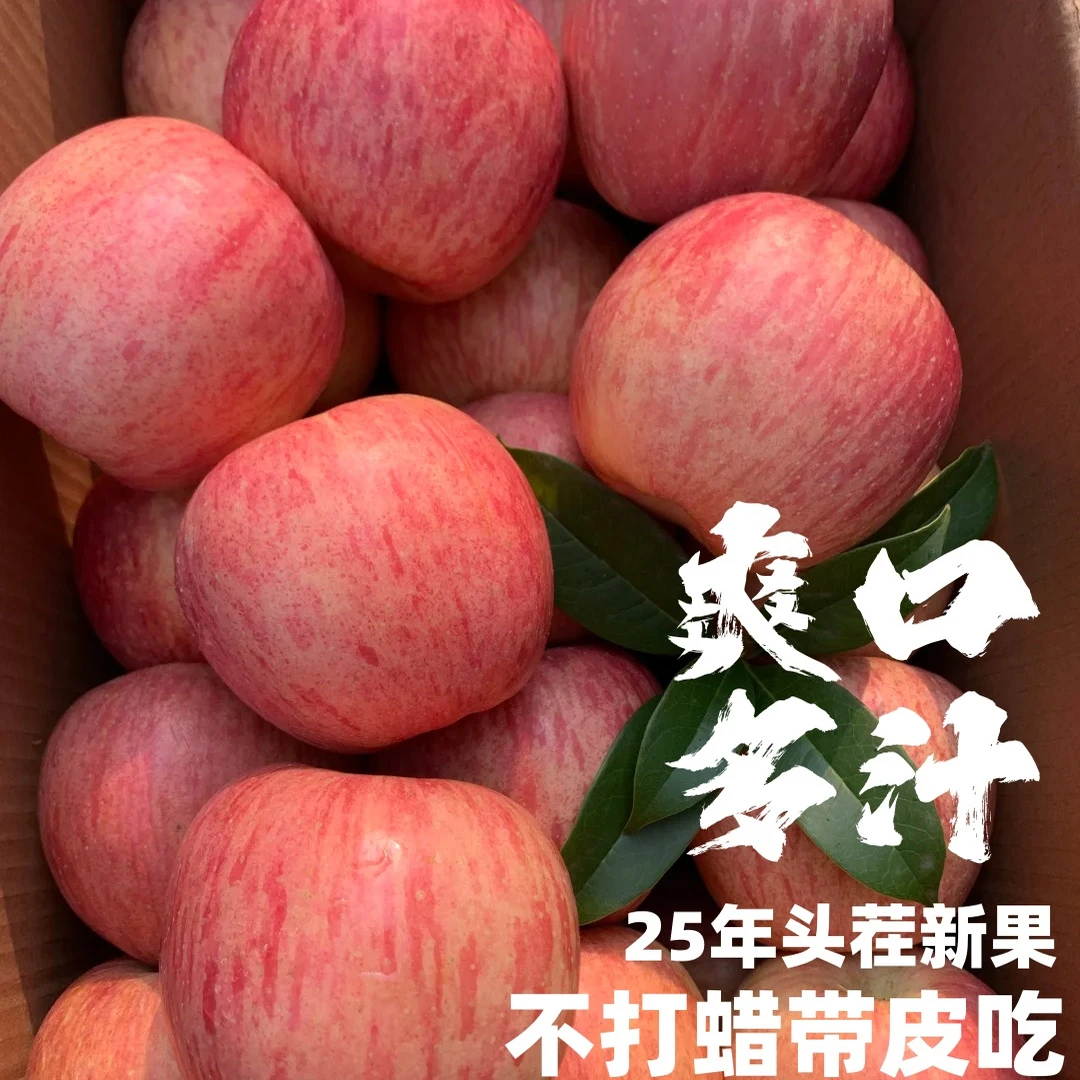 正宗陕西洛川早熟红富士整箱新鲜采摘当季水果果王产地直发