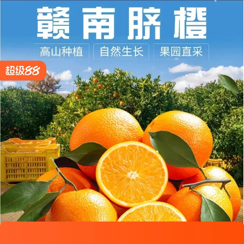 【琴琴专属】赣南脐橙正宗江西赣州橙子现摘新鲜应季水果手剥橙包邮