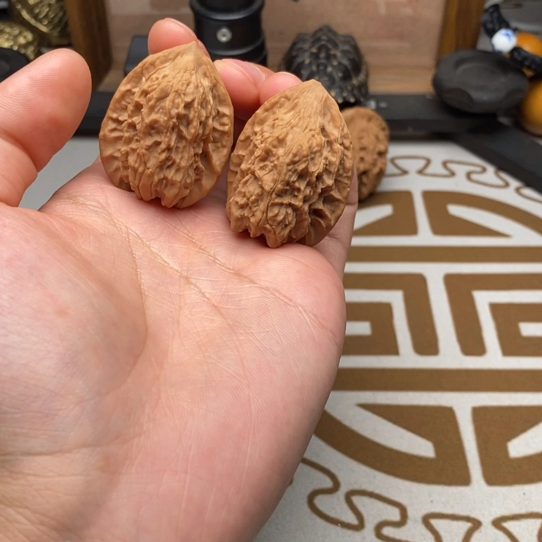 野生哈哈回家哈哈哈哈哈哈