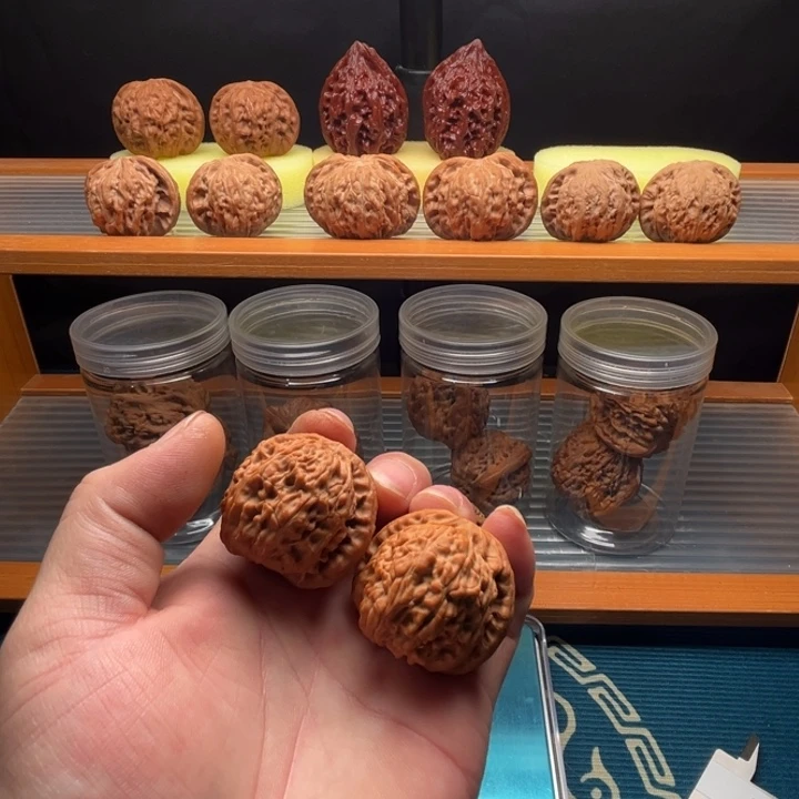 布***呆龙脊菩提吊坠全品39白狮子一对。