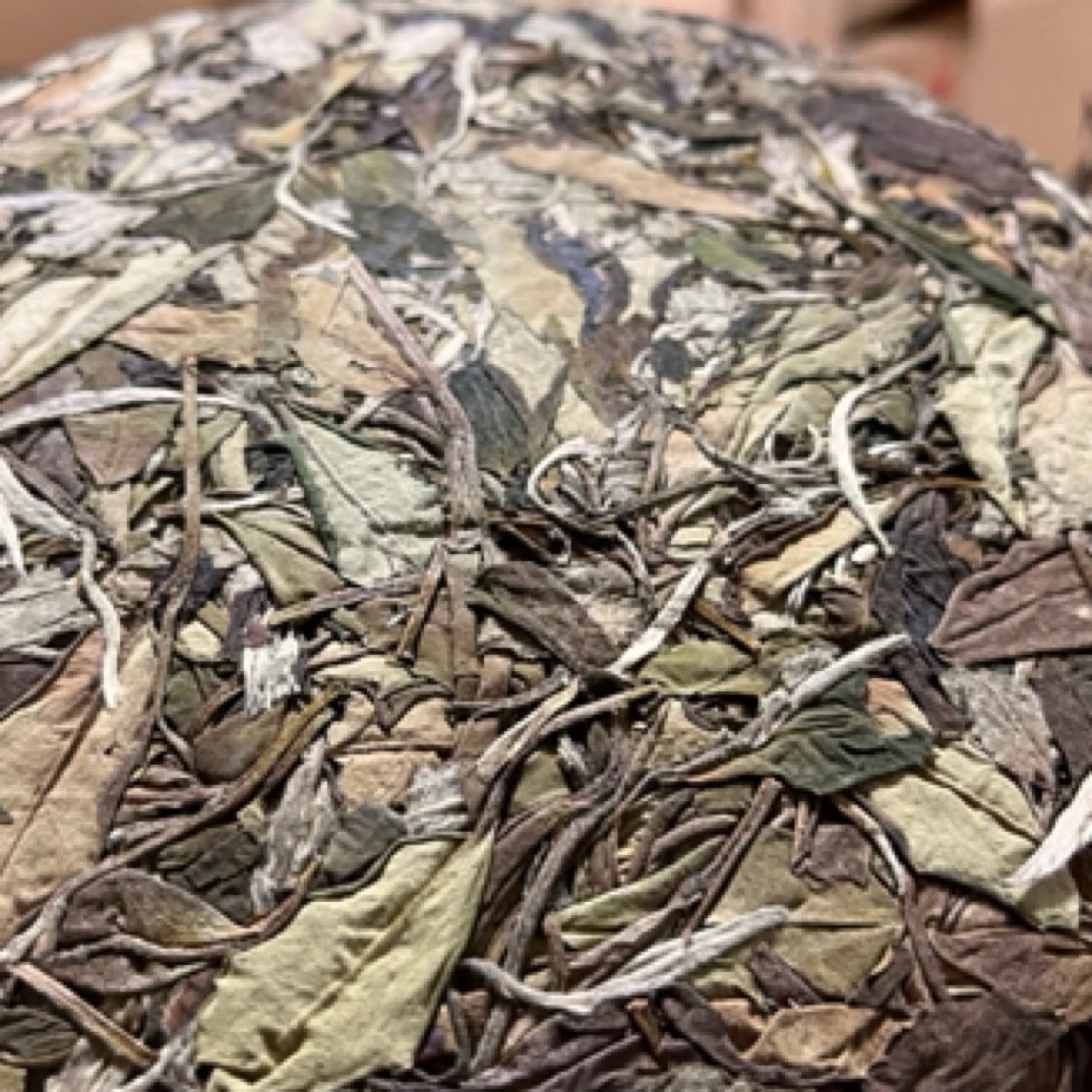 2021年的秋茶寿眉