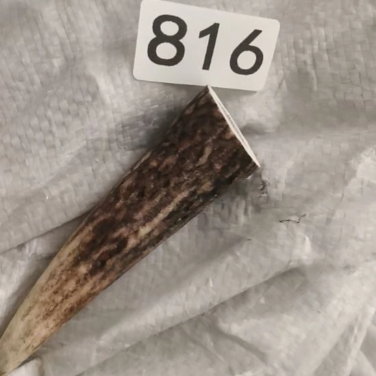 气***氛鹿角鹿角鹿角鹿角鹿角鹿角