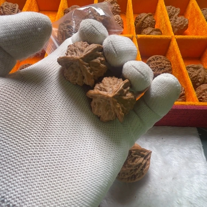 把件桃核33盘山三棱，