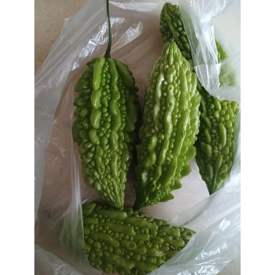 苦瓜，直播间所见即所得～下山的果果～·非～云南露天种植的蔬菜