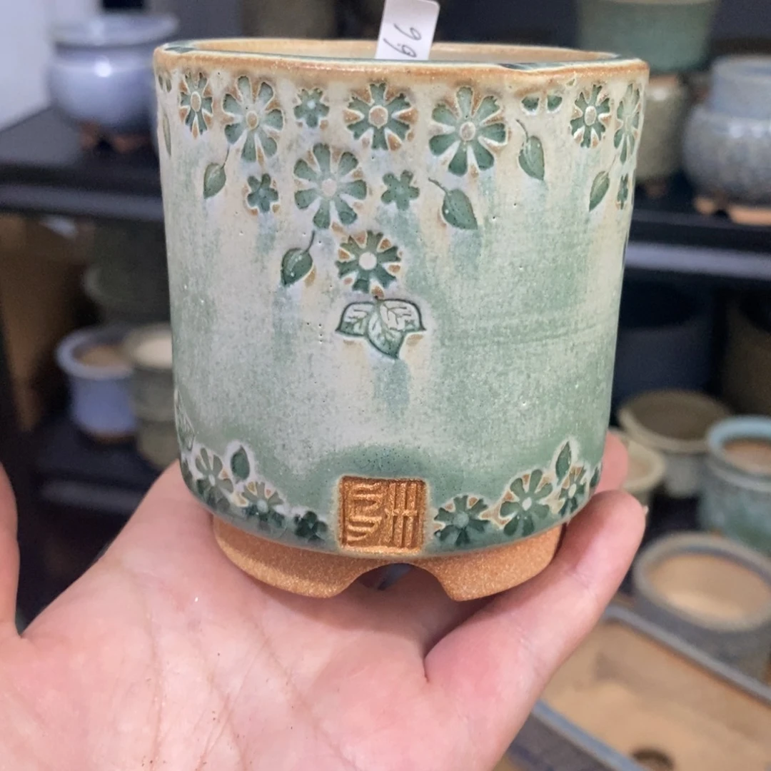 时*❂落英仕女杯六口一个66号