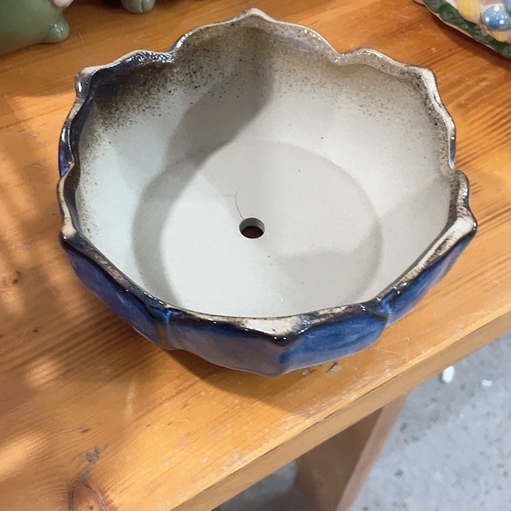 微瑕31661616161616161615151