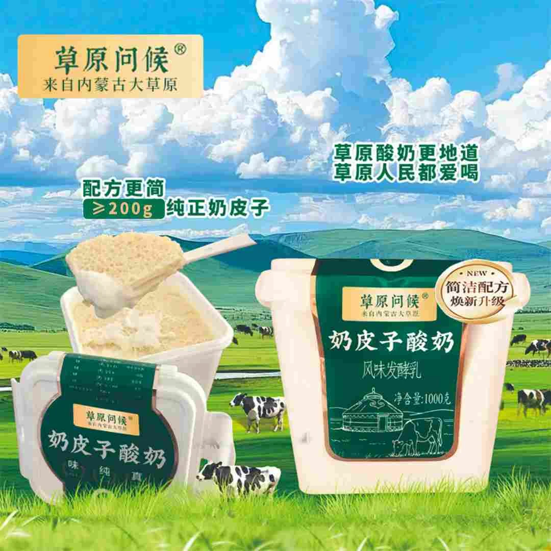 草原问候正宗奶皮子老酸奶内蒙特产高钙高蛋白休闲盖瑞大桶酸奶