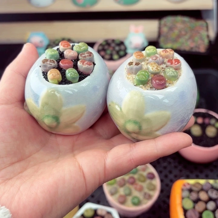 681零下地区记得拍保温箱满18包邮