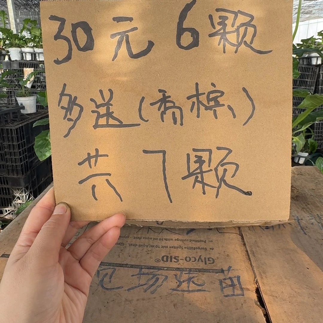 无花朵6颗自己备注品种