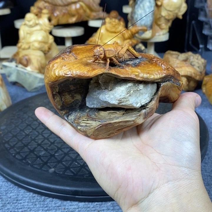柏木崖柏崖柏崖后崖柏崖柏崖柏