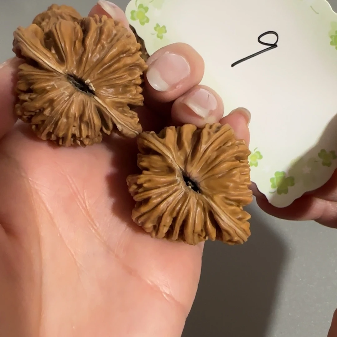 吊坠文玩核桃9号楼子4.1