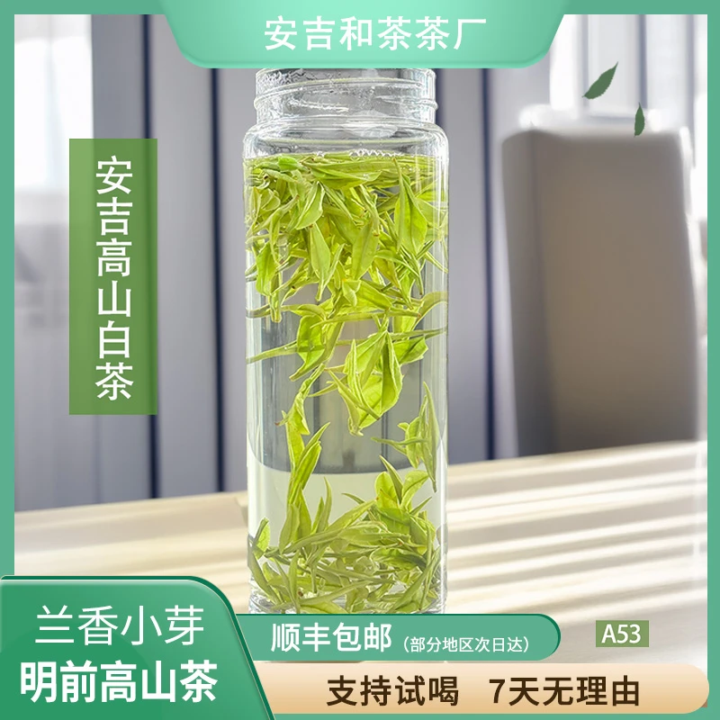 兰香小芽 高山茶安吉新茶白茶茶礼送礼明前茶春茶原产地兰花香A53