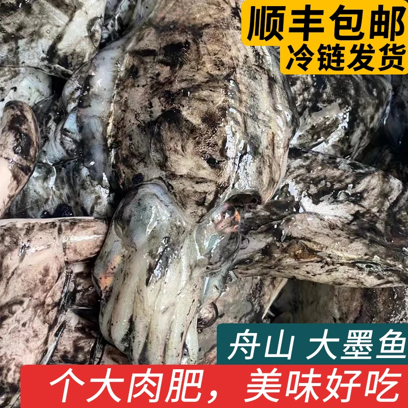 大墨鱼新鲜速冻墨鱼仔超大鲜活舟山冷冻目鱼乌贼花枝海鲜水产生鲜