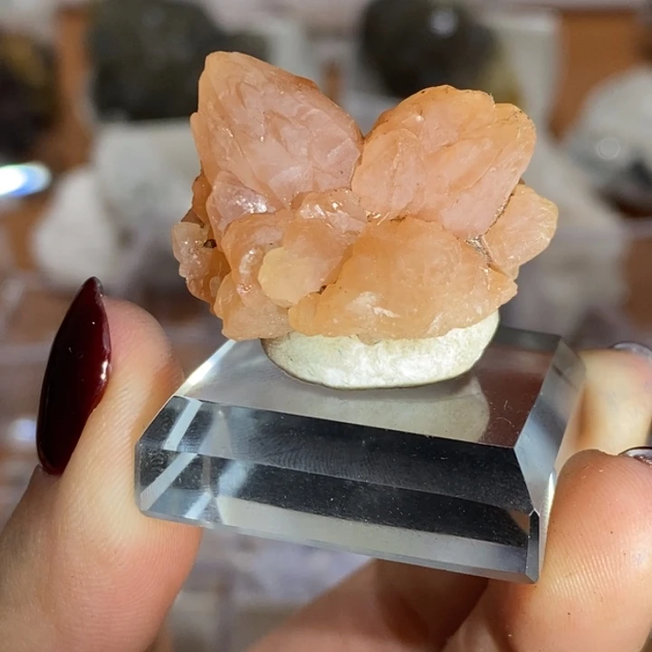 石材马岛粉水小兔子粉 满28发