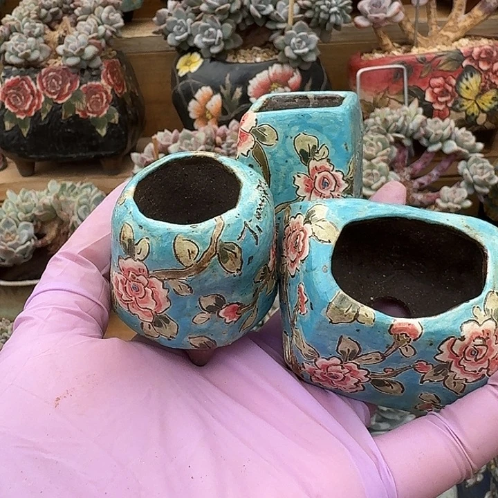 ?***块土豆块發貨 小盆盆8888