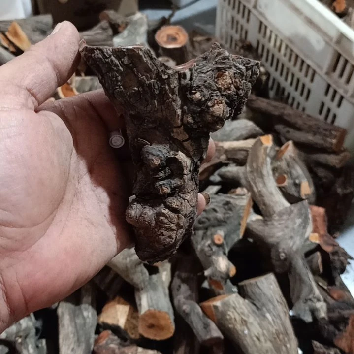 顺***天大果紫檀（缅甸花梨）