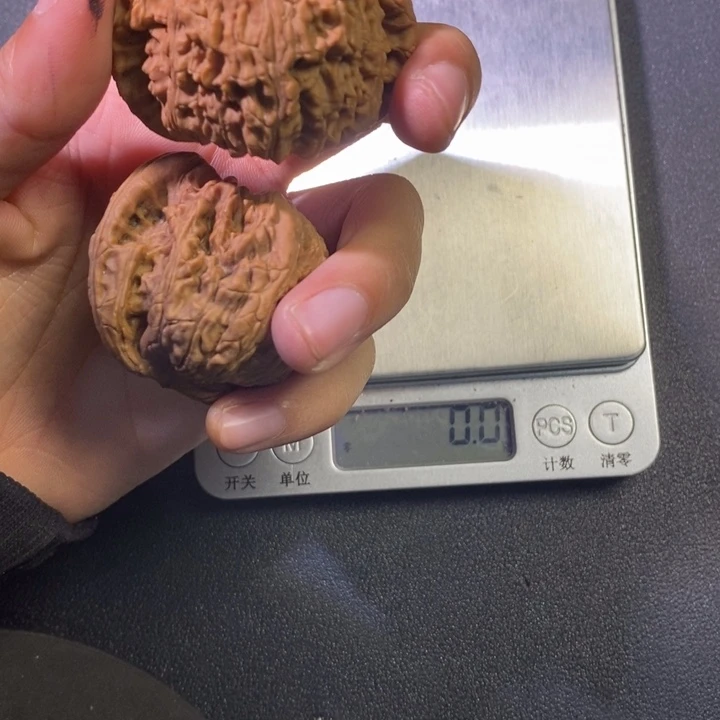 白狮子喜欢拍全品