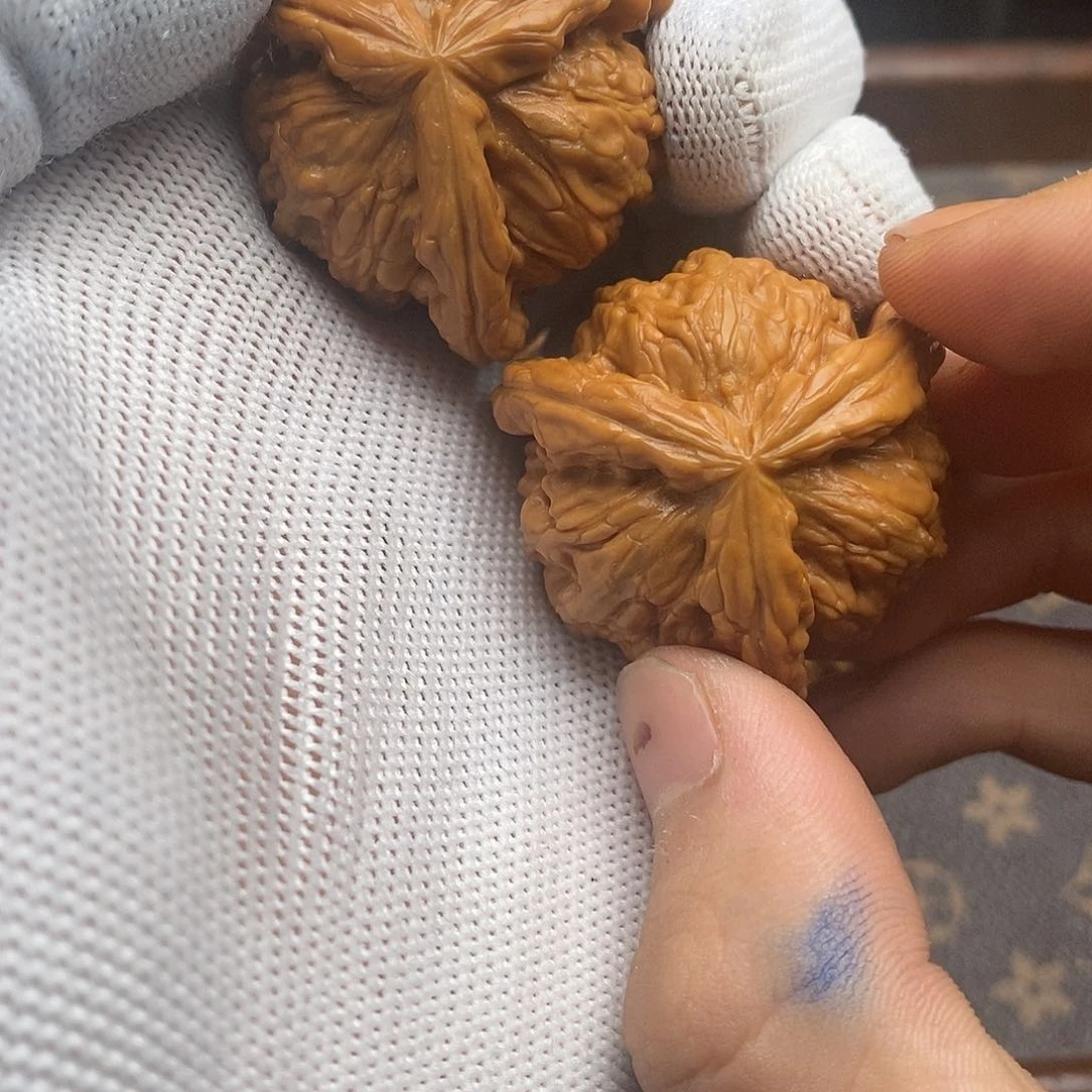 用****8白狮子1111111111111