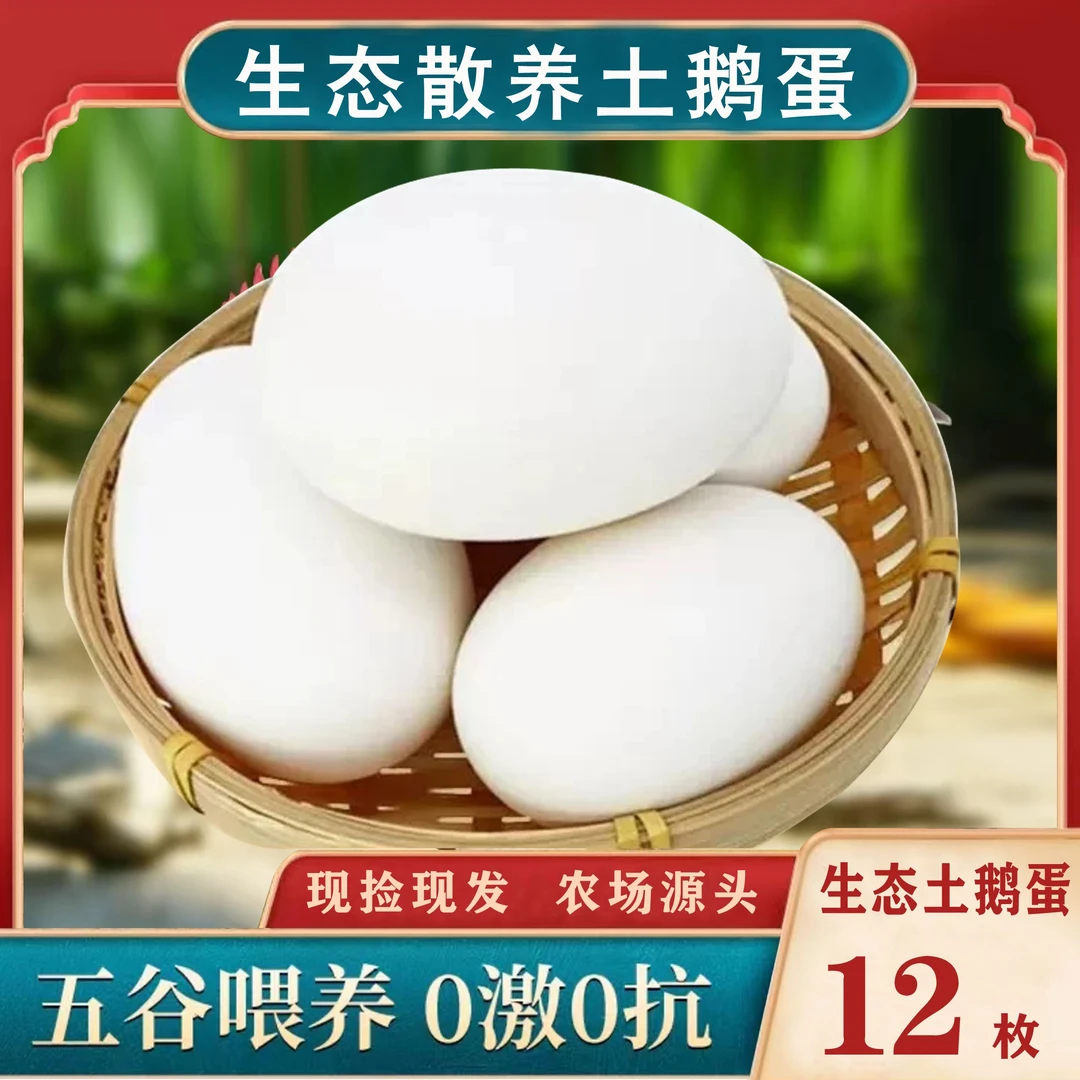 野坡地散养农场高山生态溜达鹅土鹅蛋12枚装（大个现捡鹅蛋预售中）