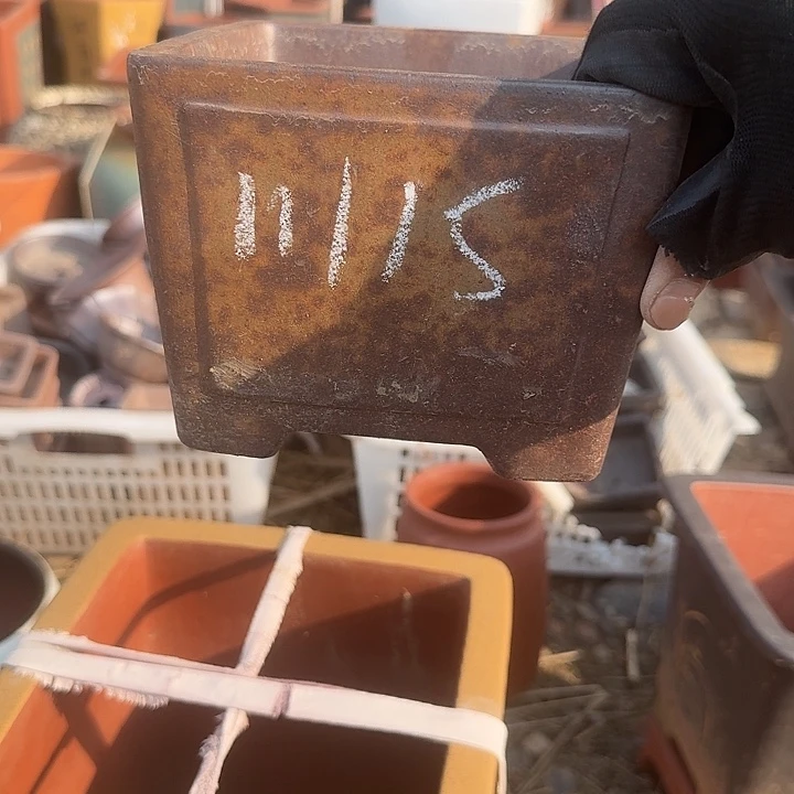 紫砂和花都两条主景河边散步