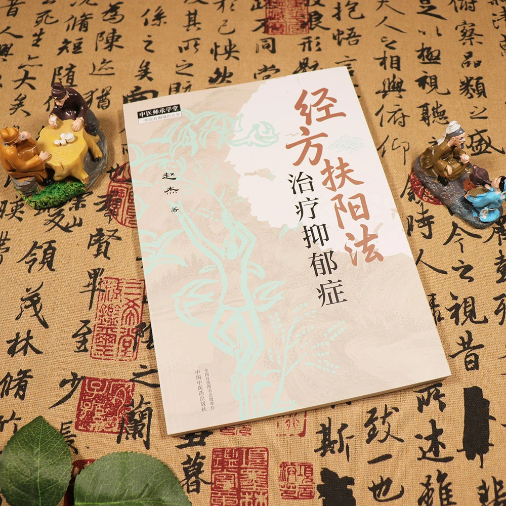 【天地合】经方扶阳法治疗抑郁症 赵杰著抑郁症在不同年龄段皆可发