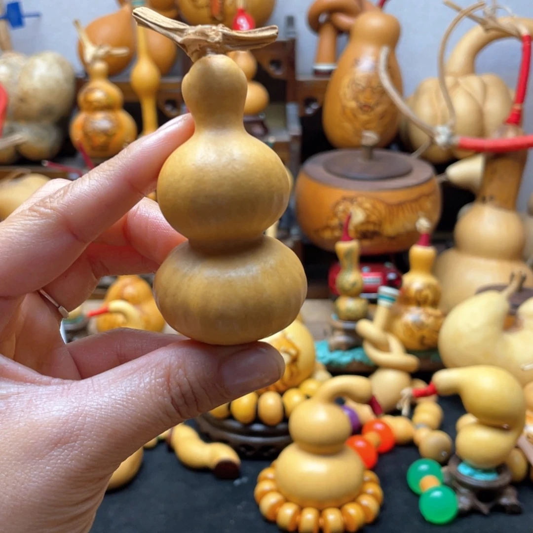 时**转大自然的秘密第十节第