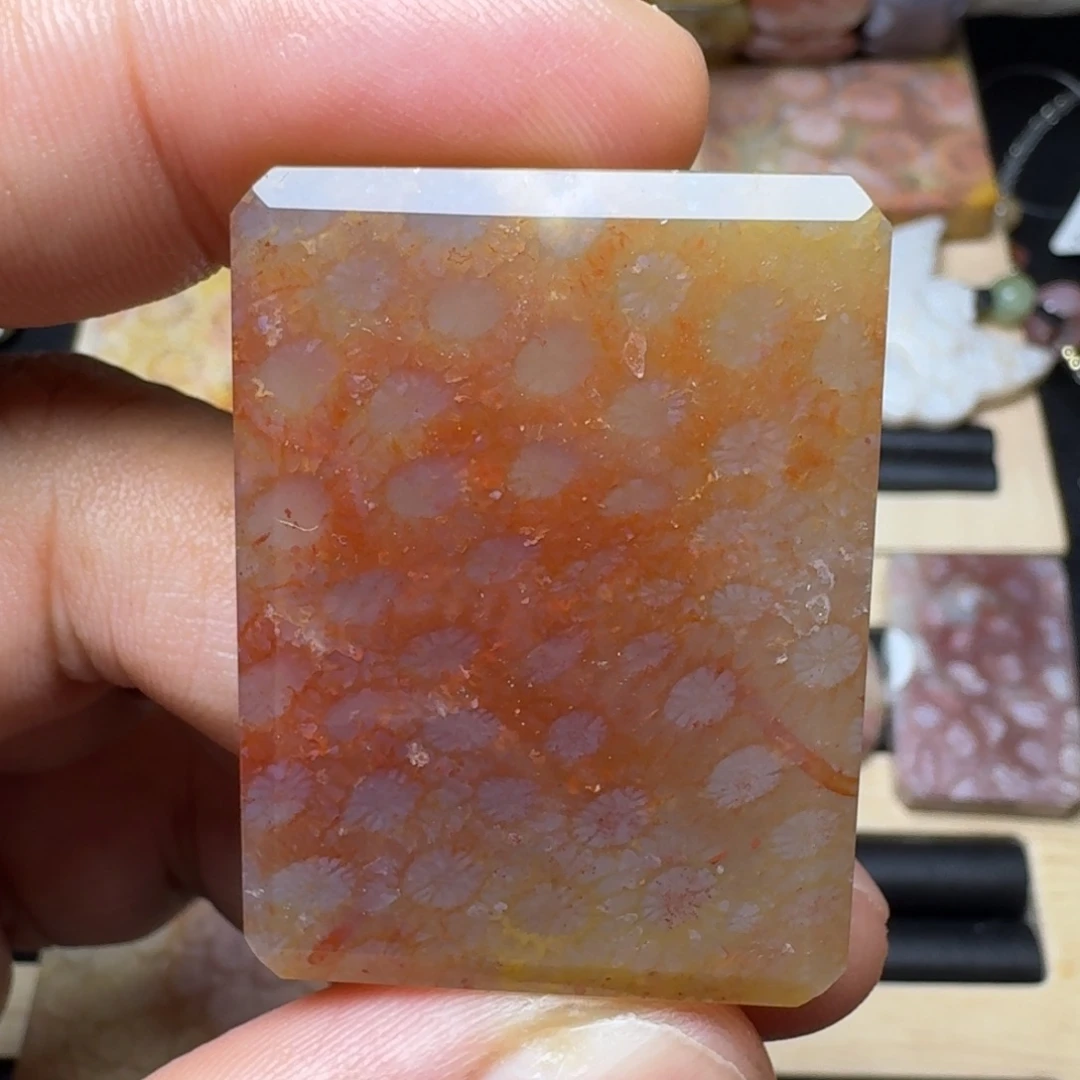 未镶嵌纯天然色有机玉石保真色硅化玉