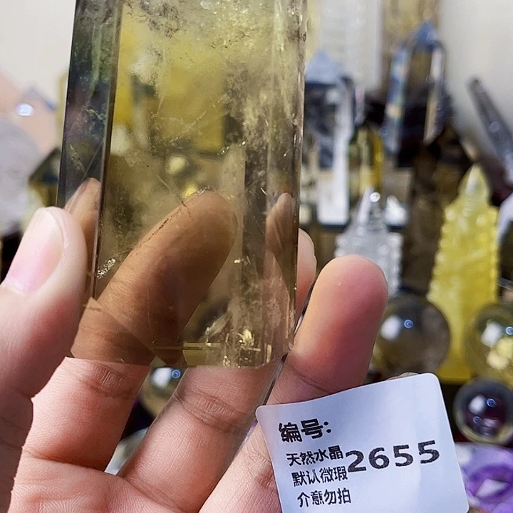 林***木未镶嵌颈饰水晶柱