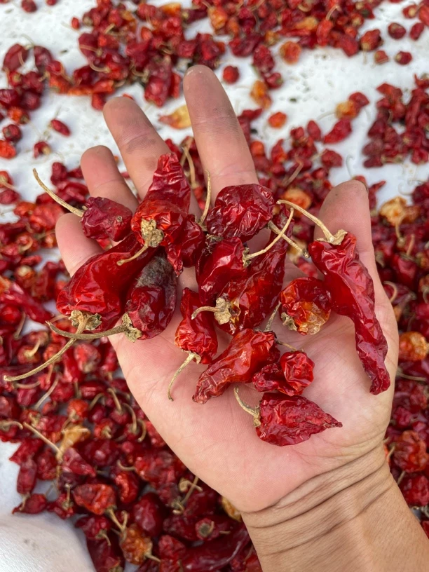 余干辣椒红辣椒壳里顺丰包邮