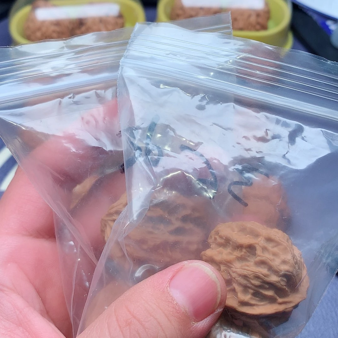 文玩核桃把件6*6福利