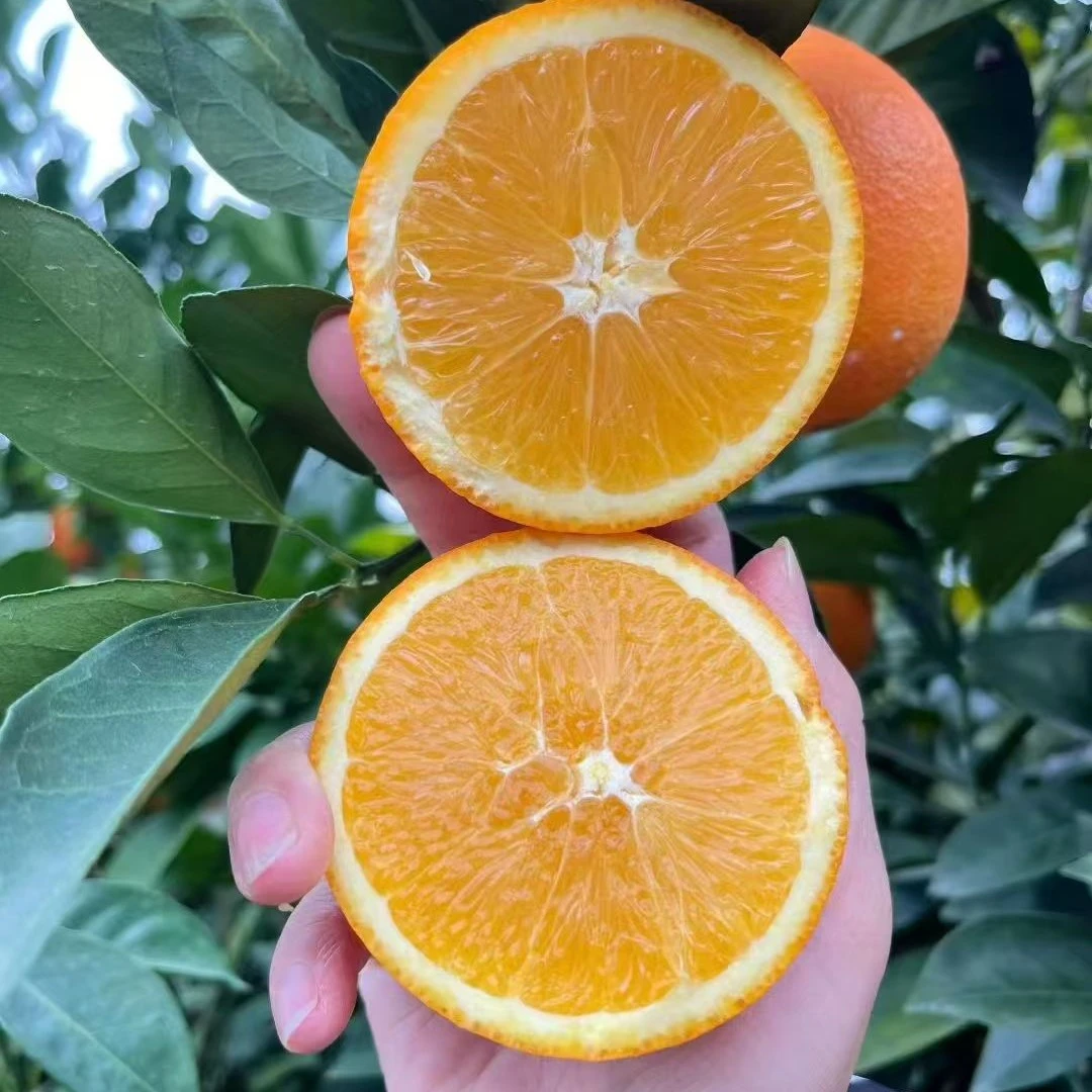 正宗赣南脐橙赣南甜橙江西赣州新鲜水果产地2025新鲜水果