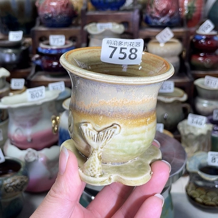 红陶内口径6高度7