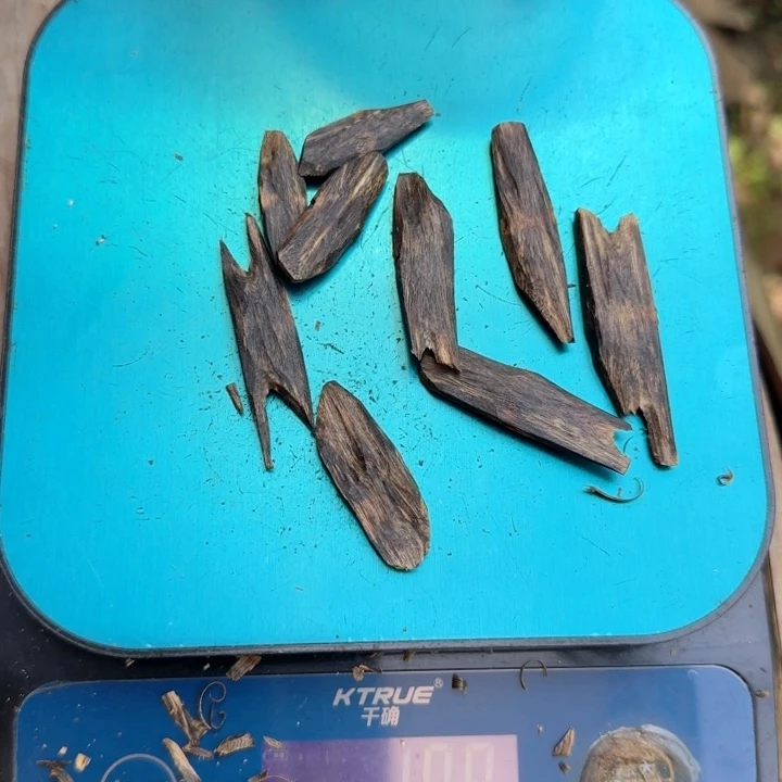 睿***。沉香碎屑沉香绿棋楠沉香树枝料10克
