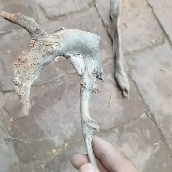 一***！柏木（崖柏）崖柏摆件，，，，，，