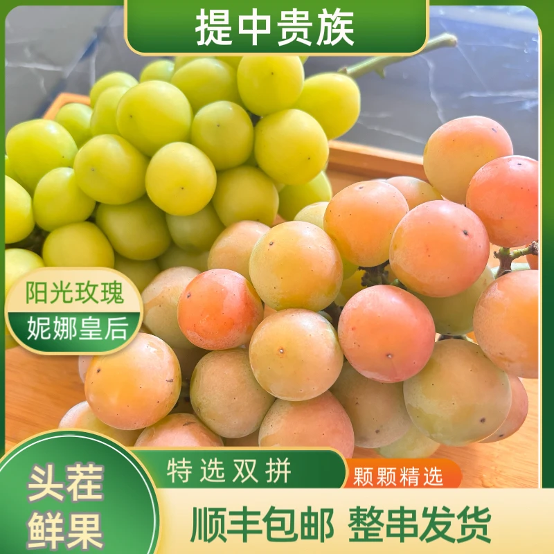 【妮娜皇后+阳光玫瑰】双拼南京本地应季无籽葡萄